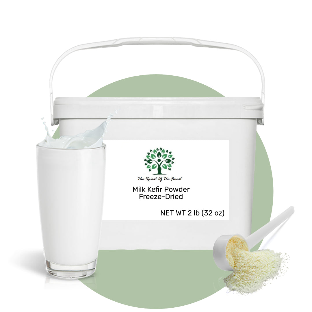Milk Kefir Powder Freeze-Dried - Pure, Dehydrated, No Additives, Ready to Use, Easy Shelf Storage from The Spirit Of The Forest, No Maintenance - Non GMO Gluten Free - Leche de Bulgaros en Polvo