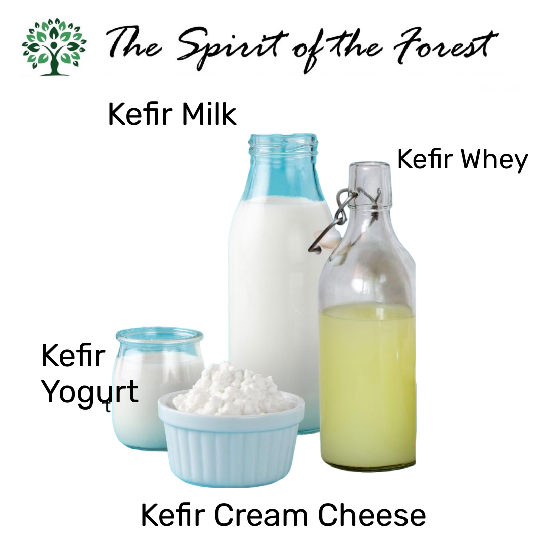 Organic Milk Kefir Grains - Fresh Live Active Probiotic Starter Cultures