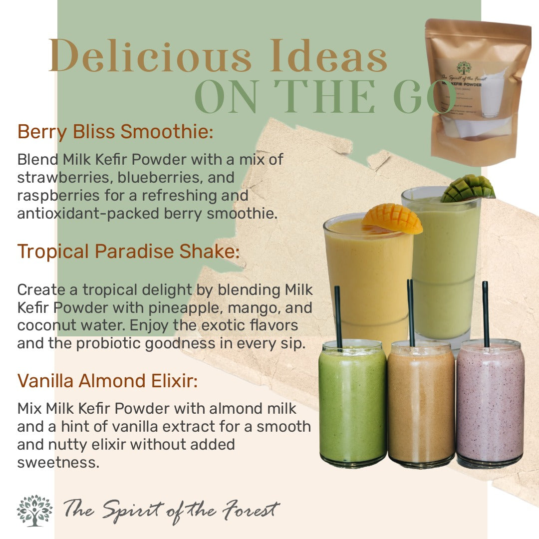 Milk Kefir Powder Freeze-Dried - Pure, Dehydrated, No Additives, Ready to Use, Easy Shelf Storage from The Spirit Of The Forest, No Maintenance - Non GMO Gluten Free - Leche de Bulgaros en Polvo