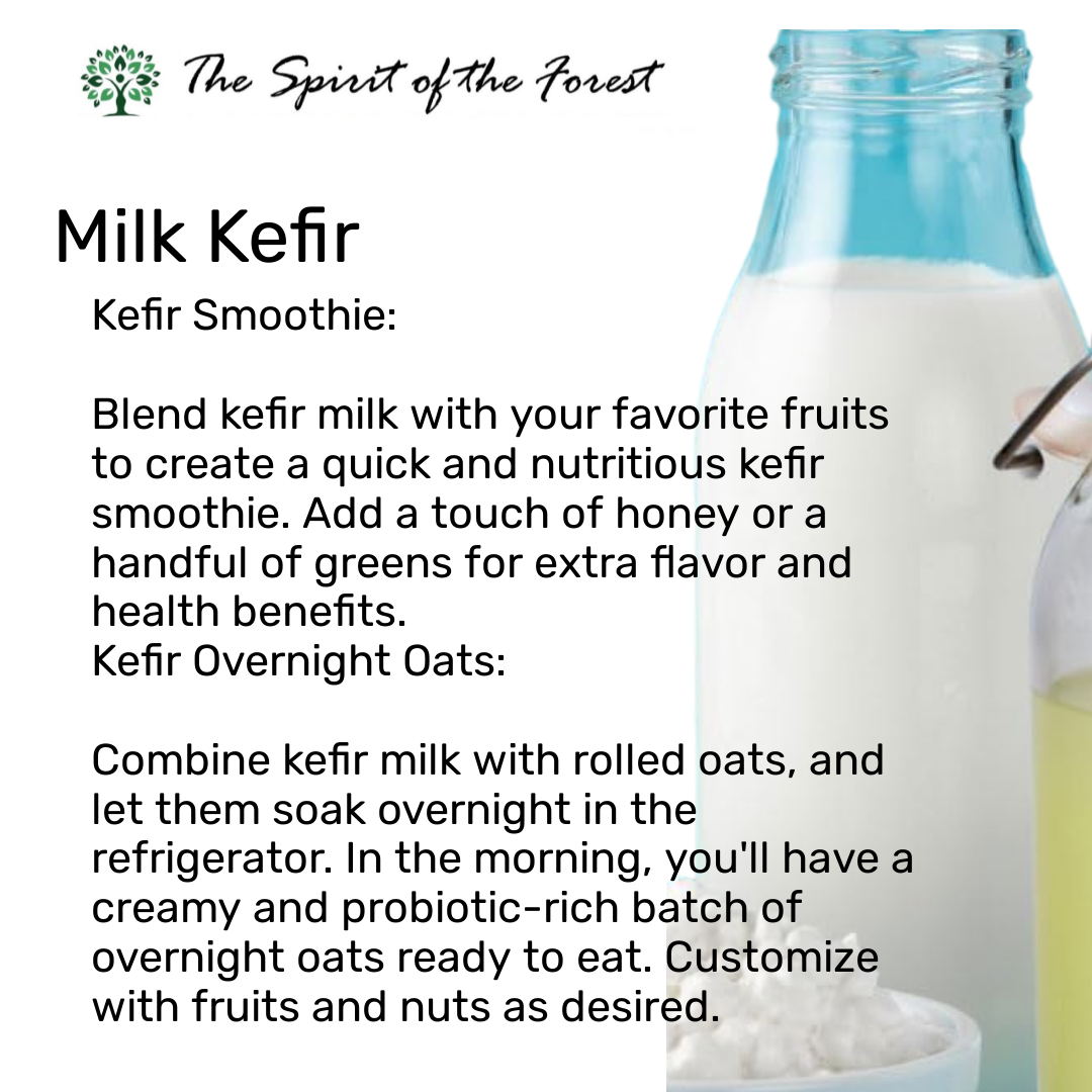 Organic Milk Kefir Grains - Fresh Live Active Probiotic Starter Cultures