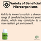 Kefirito Kefir Vegie Capsules Nutrient Billions Active Probiotic Cultures, Supports Optimal Digestive Health, Gluten-Free