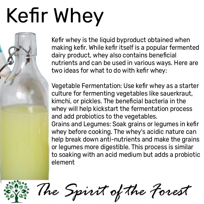 Organic Milk Kefir Grains  - Fresh Live Active Probiotic Starter Cultures