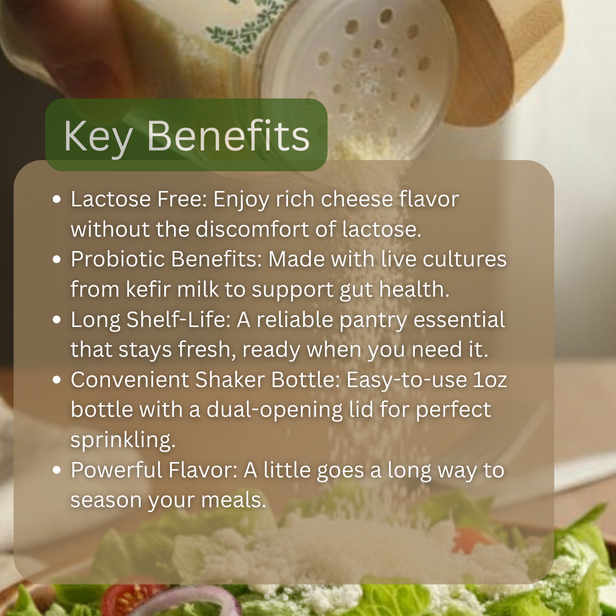 The Spirit of the Forest Kefir Parm Cheese - Lactose Free Parmesan Substitute - 1oz Shaker