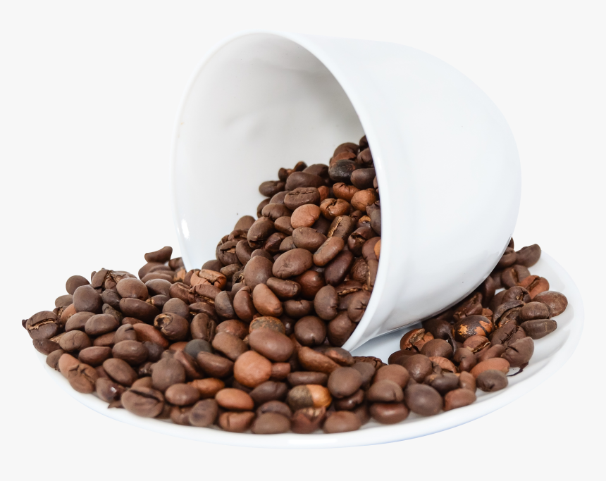 Piedra Negra High Altitude Coffee 12 oz Gourmet Medium Roasted Organic - Loja Zaruma Ecuador