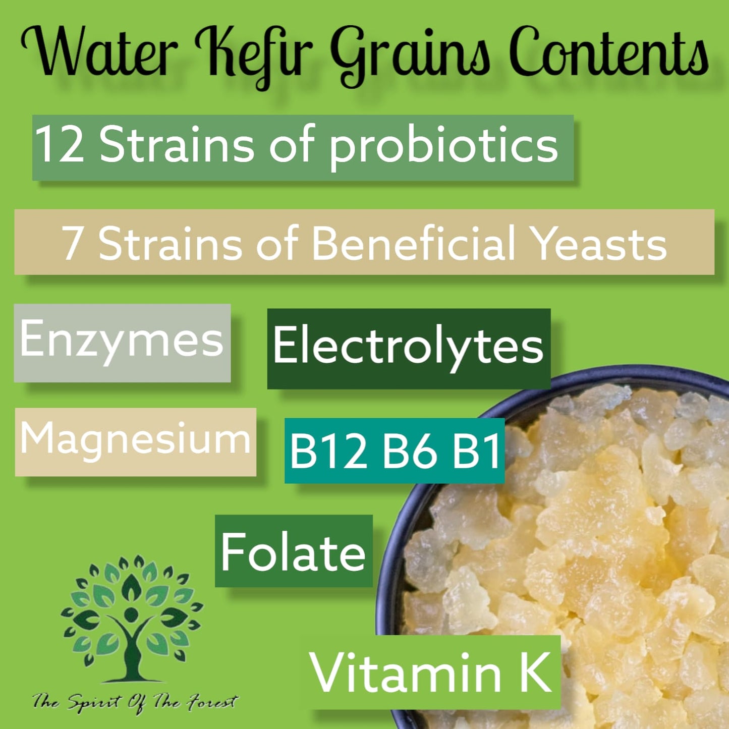 Original Water Live Kefir Grains w/ Activator Booster from The Spirit of The Forest