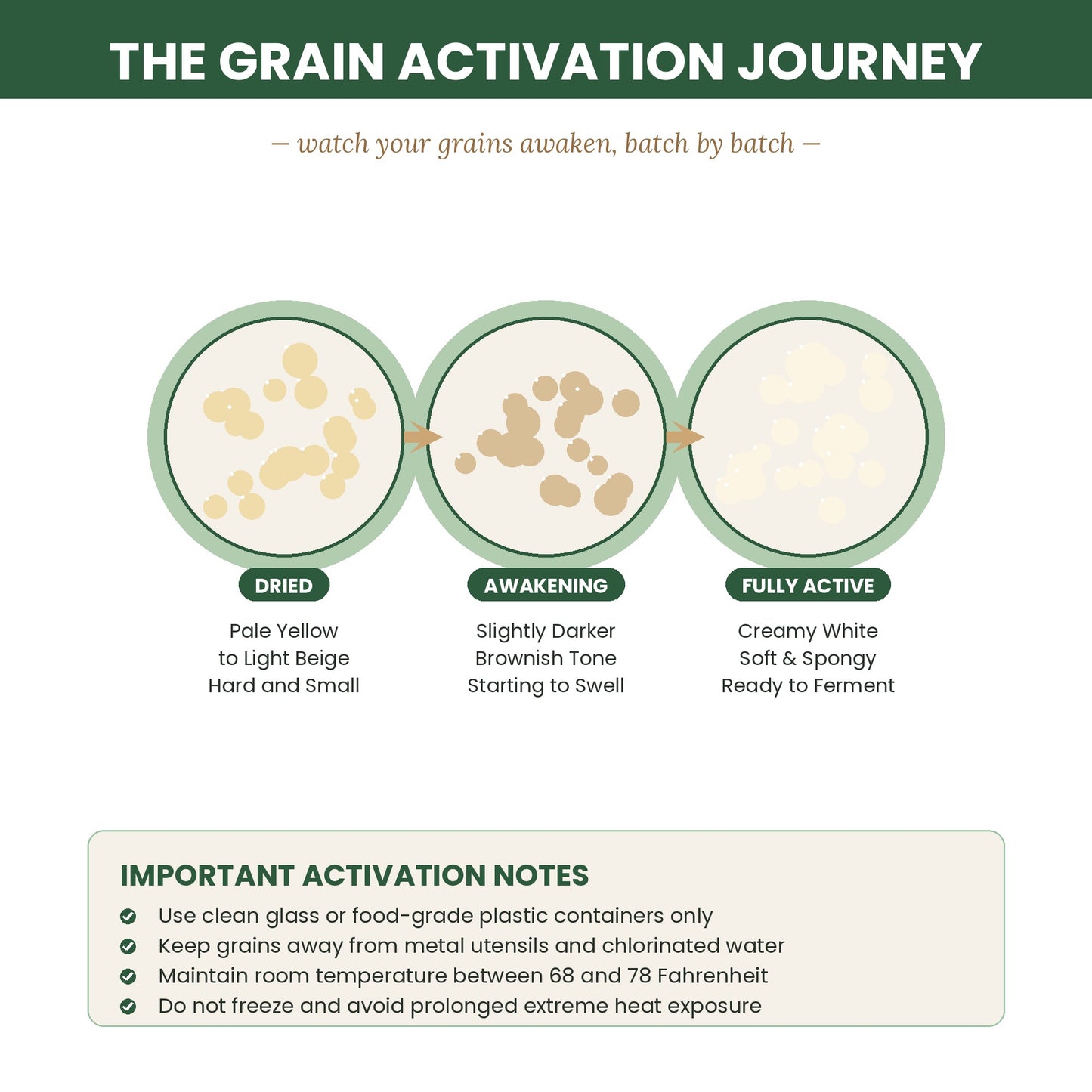 Milk Kefir Grains 3g — Live Dried Heirloom Starter Culture Kit with eBook