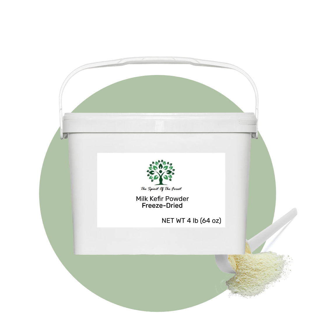 Milk Kefir Powder Freeze-Dried - Pure, Dehydrated, No Additives, Ready to Use, Easy Shelf Storage from The Spirit Of The Forest, No Maintenance - Non GMO Gluten Free - Leche de Bulgaros en Polvo - The Spirit of the Forest