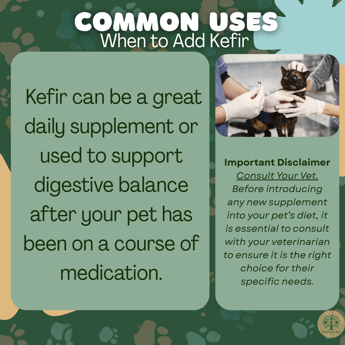 Petfir 30 Pack Kefir for Dogs and Cats Supplement Pets probiotic dog advanced probiotic formula for dog