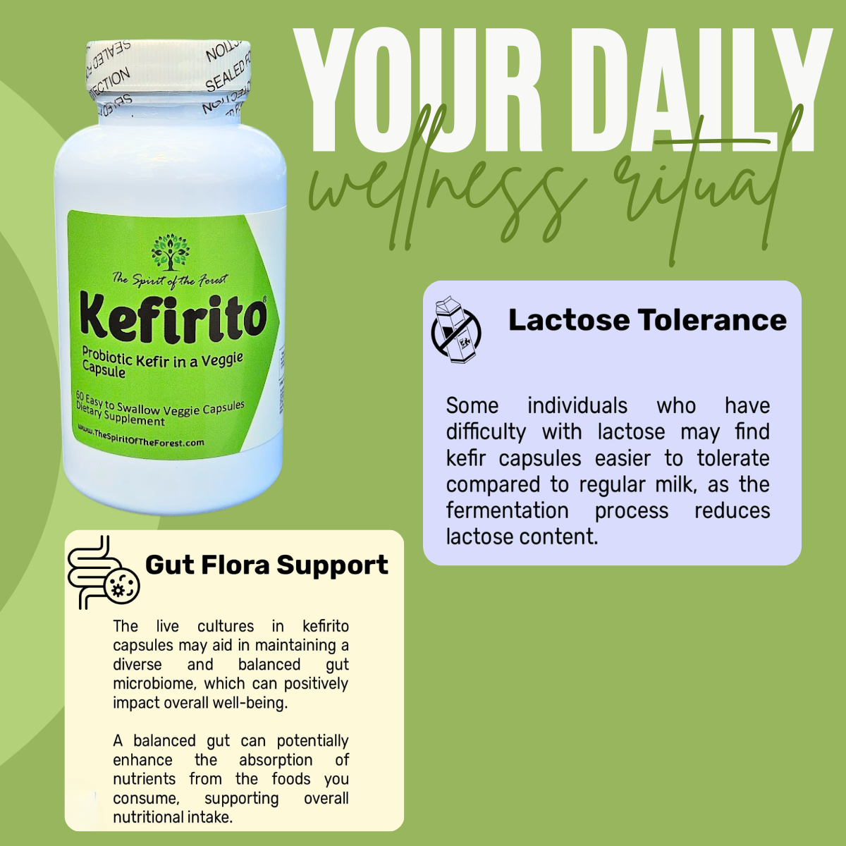 Pure Kefir Probiotic Supplement 50 Billion CFU - Kefirito 7 Strains Kefiran 60 Capsules - Probiotics For Women And Men - Digestive Enzymes Supports Akkermansia 1 Month Supply The Spirit Of The Forest