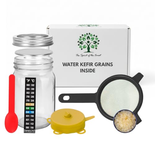 Water Kefir Starter Set Fermented Probiotic Drink - Sparkling Water Seltzer - ENDLESS DORMANT Kefir Grains, Gluten Free Vegan Culture For  DIY Dairy Free
