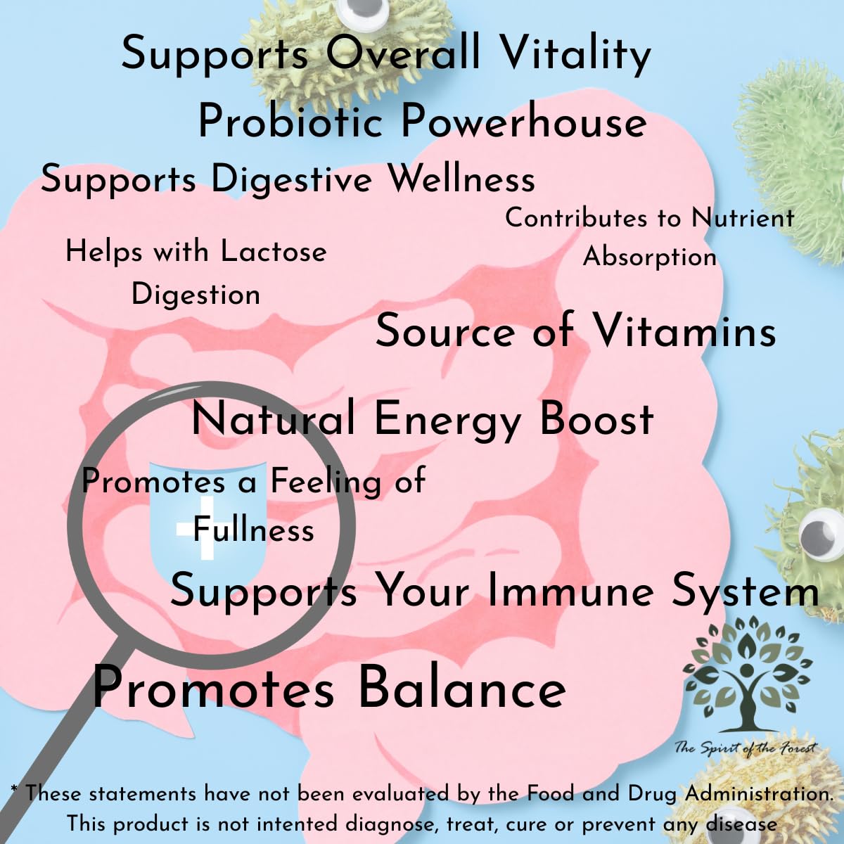 Kefir Probiotic Supplement — 12 Live Strains, 30 Capsules