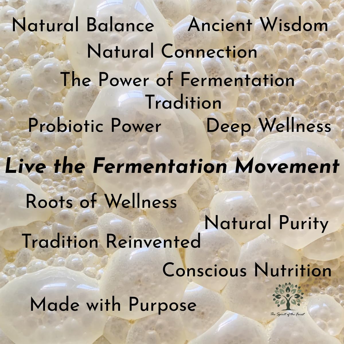 Kefir Probiotic Supplement — 12 Live Strains, 30 Capsules
